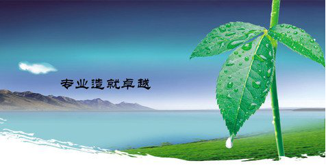 服务外包业喜尝“一带一路”头啖汤